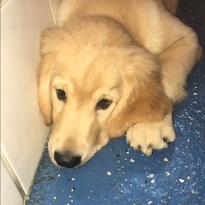 Meet your Posher, Hope